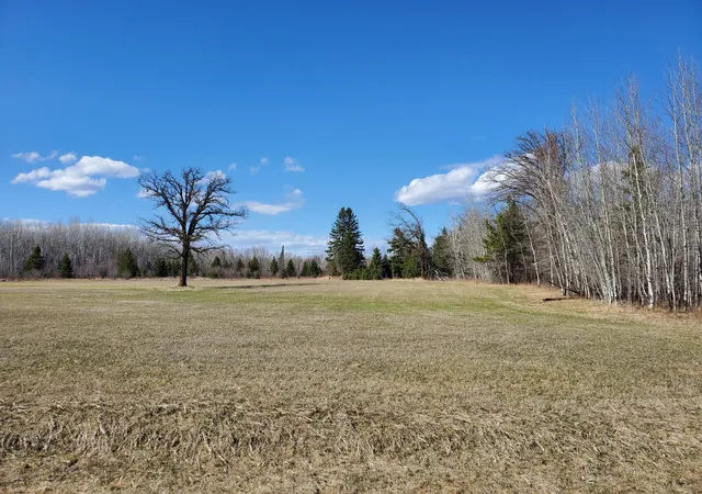 7th image of Tbd Wildflower Lane Ne, Blackduck, MN 56630 | MLS# 7071034