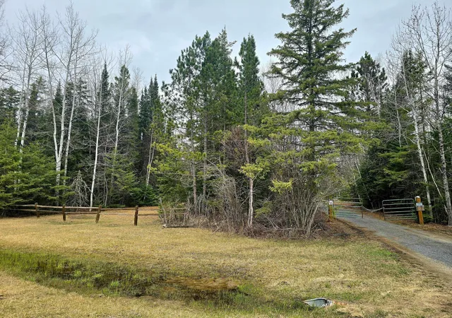 Homes for sale in Kabetogama, MN | 9464 Hwy 53, Kabetogama, MN 56669 | MLS# 7071222