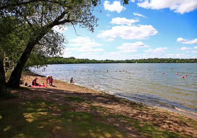 61st image of 2713 W 54th St, Minneapolis, MN 55410 | MLS# 7071246