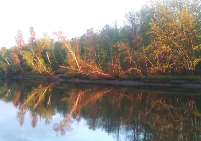 Land for sale at 48439 290th Place, Palisade, MN 56469 | MLS# 7071490