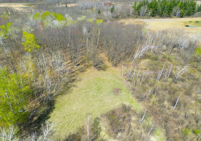 Homes for sale in Isle, MN | Xxx Mcgrew Rd, Isle, MN 56342 | MLS# 7071683