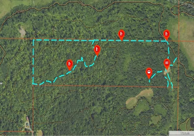 Homes for sale in Isle, MN | Xxx Mcgrew Rd, Isle, MN 56342 | MLS# 7071683