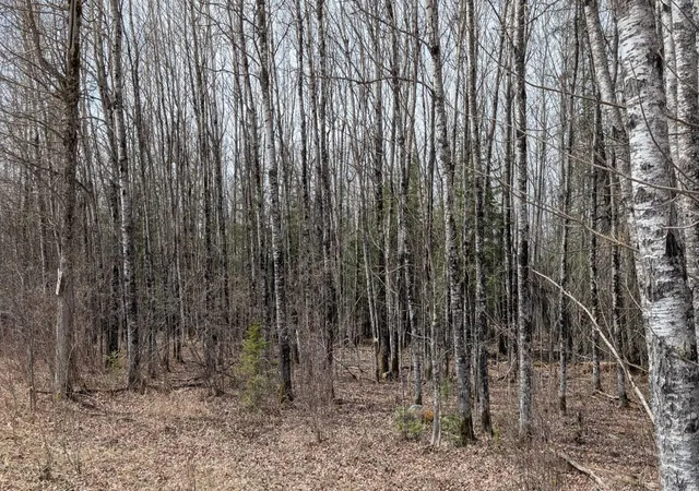 10th image of Lot 2 Lund Rd, Cook, MN 55723 | MLS# 7072229