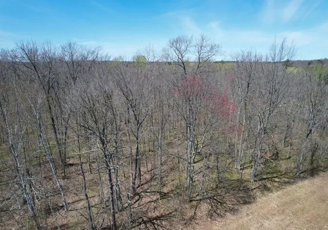 Homes for sale in Springbrook, WI | N10439 Tranus Lake Rd, Springbrook, WI 54875 | MLS# 7072648