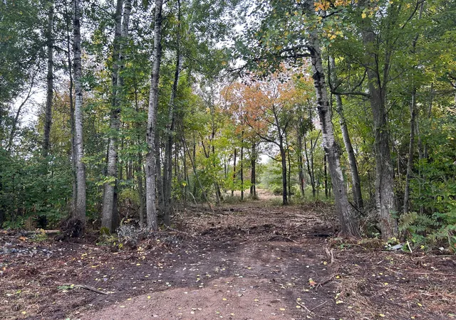 Photo 2 of Land for sale at Tbd 250th Street, Aitkin, MN 56431 | MLS# 7072690 | Listing updated on 2026-09-29