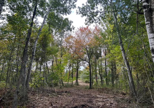 Photo 3 of Land for sale at Tbd 250th Street, Aitkin, MN 56431 | MLS# 7072690 | Listing updated on 2026-09-29