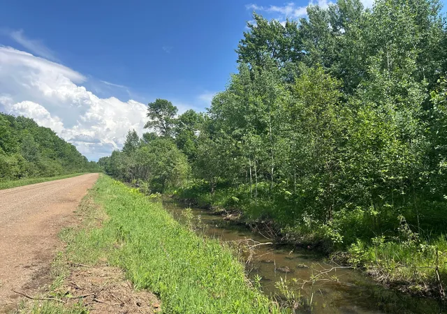 4th image of Tbd 250Th St, Aitkin, MN 56431 | MLS# 7072690