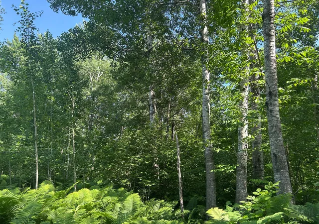 5th image of Tbd 250Th St, Aitkin, MN 56431 | MLS# 7072690