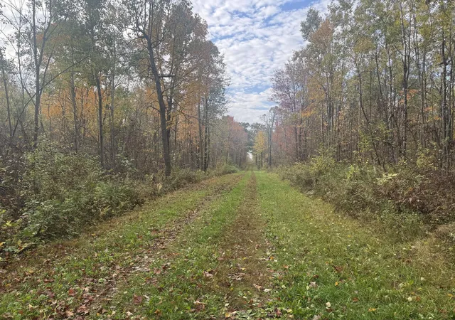 Homes for sale in Exeland, WI | Tbd N State Road 40, Exeland, WI 54835 | MLS# 7072803