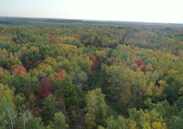 Homes for sale in Exeland, WI | Tbd N State Road 40, Exeland, WI 54835 | MLS# 7072803