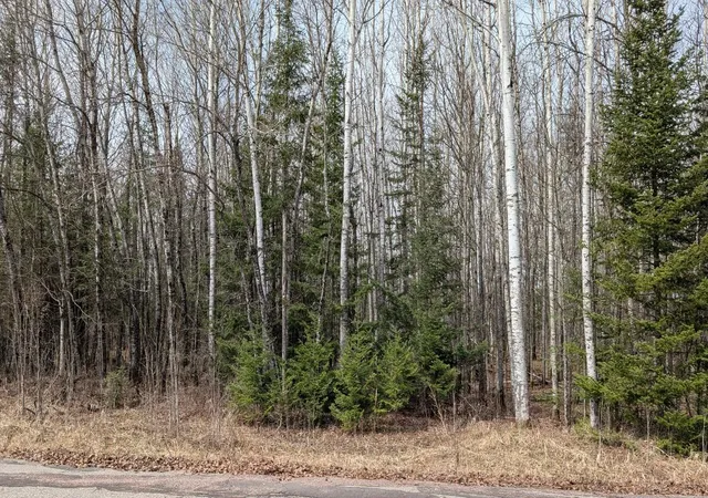 Photo 4 of Land for sale at Lot 6 Lund Rd, Cook, MN 55723 | MLS# 7072832 | Listing updated on 2026-05-27