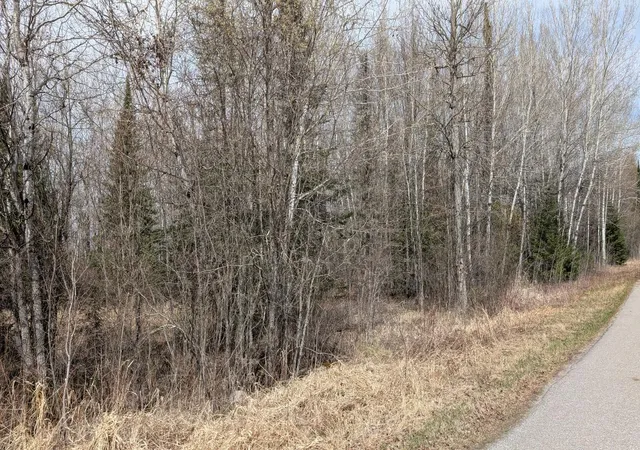 7th image of Lot 7 Lund Rd, Cook, MN 55723 | MLS# 7073027