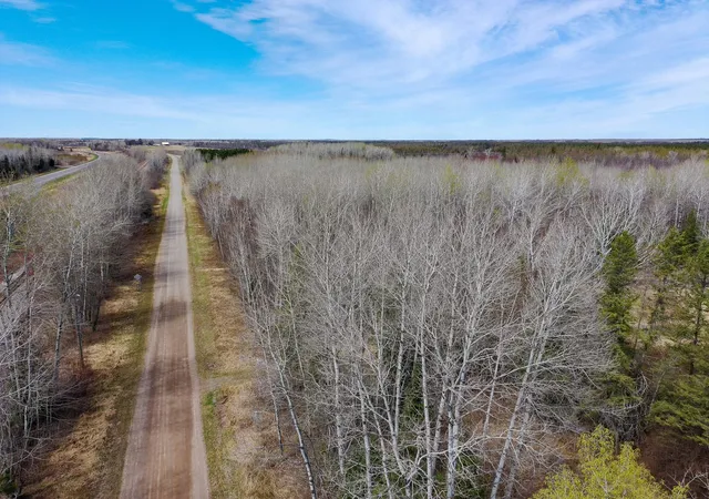 Homes for sale in Floodwood, MN | 11839 Saint Vincent Rd, Floodwood, MN 55736 | MLS# 7073071
