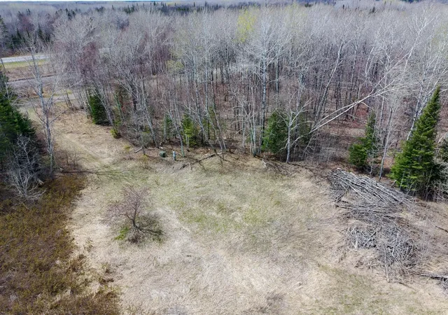 Homes for sale in Floodwood, MN | 11839 Saint Vincent Rd, Floodwood, MN 55736 | MLS# 7073071