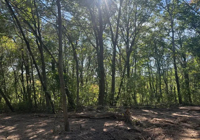 2nd image of 6167 Lake Dr, Prior Lake, MN 55372 | MLS# 7073304