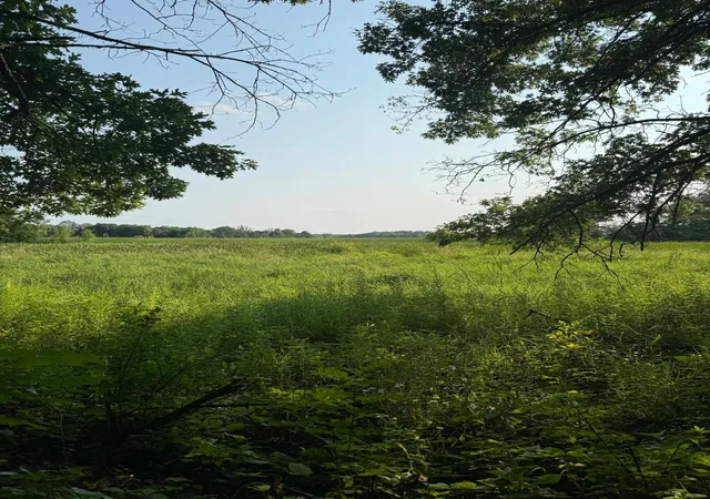Photo 3 of Land for sale at 6167 Lake Dr, Prior Lake, MN 55372 | MLS# 7073304 | Listing updated on 2026-10-03