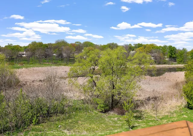 Homes for sale in Victoria, MN | 8128 Savanna Valley Wy, Victoria, MN 55386 | MLS# 7073515