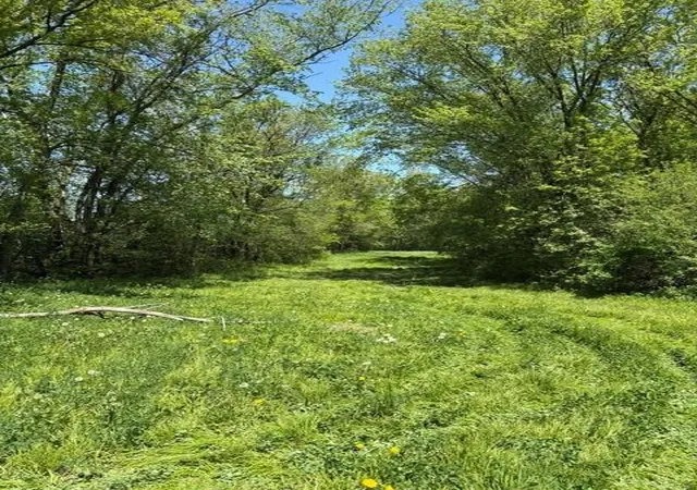 Photo 3 of Land for sale at Tbd Highway 55, Rockford Twp, MN 55313 | MLS# 7073717 | Listing updated on 2026-07-27