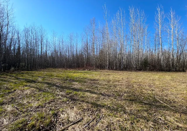 Homes for sale in Littlefork, MN | Lot B County Road 79, Littlefork, MN 56653 | MLS# 7073831