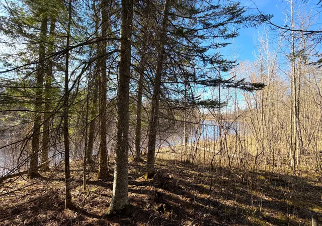 Homes for sale in Littlefork, MN | Lot B County Road 79, Littlefork, MN 56653 | MLS# 7073831