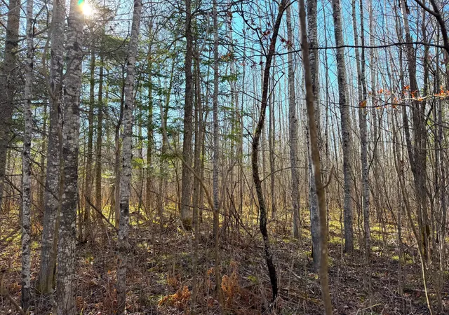 Homes for sale in Littlefork, MN | Lot B County Road 79, Littlefork, MN 56653 | MLS# 7073831
