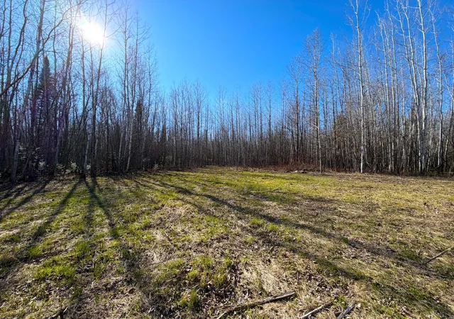 Homes for sale in Littlefork, MN | Lot C County Road 79, Littlefork, MN 56653 | MLS# 7073833