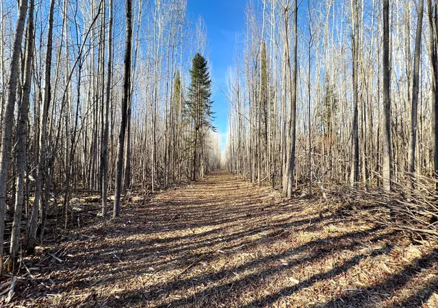 Homes for sale in Littlefork, MN | Lot D County Road 79, Littlefork, MN 56653 | MLS# 7073834