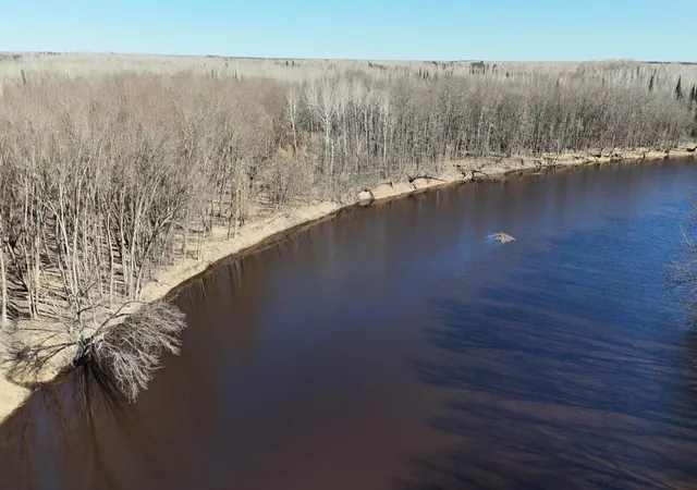Homes for sale in Littlefork, MN | Lot D County Road 79, Littlefork, MN 56653 | MLS# 7073834