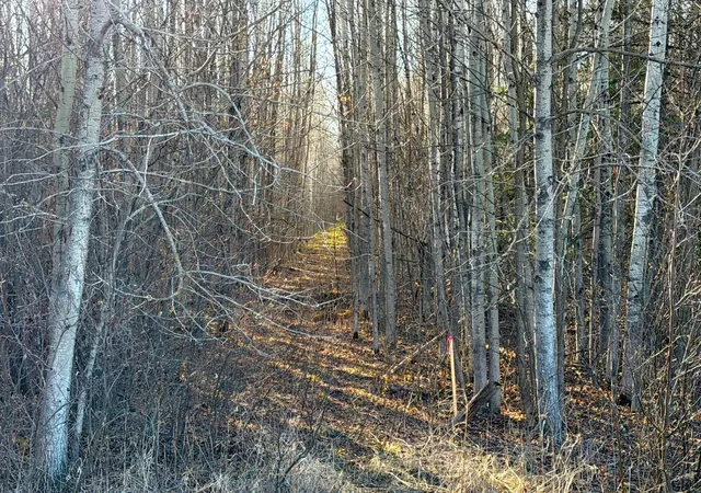 Homes for sale in Littlefork, MN | Lot D County Road 79, Littlefork, MN 56653 | MLS# 7073834