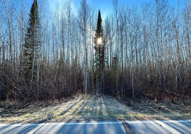 Homes for sale in Littlefork, MN | Lot E County Road 79, Littlefork, MN 56653 | MLS# 7073837