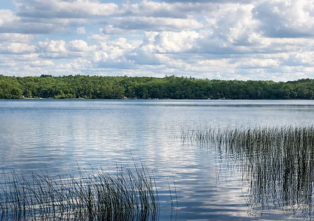 3rd image of Tbd Rognaldson Rd, Brainerd, MN 56401 | MLS# 7074076