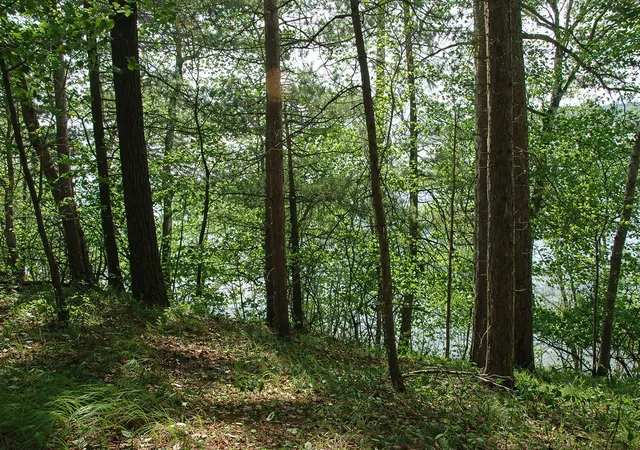 4th image of Tbd Rognaldson Rd, Brainerd, MN 56401 | MLS# 7074076