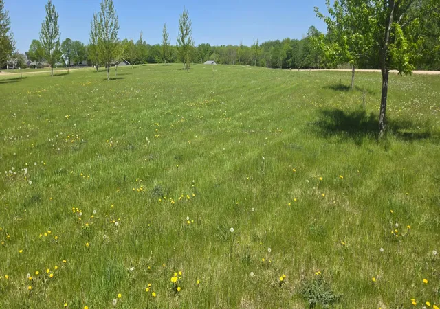 4th image of Tbd Meadows Cir, Audubon, MN 56511 | MLS# 7074124