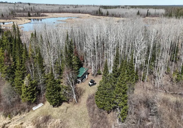 Homes for sale in Orr, MN | Tbd 43 Lummi Rd, Orr, MN 55771 | MLS# 7074146