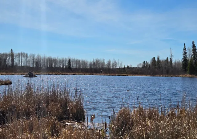 Homes for sale in Orr, MN | Tbd 43 Lummi Rd, Orr, MN 55771 | MLS# 7074146