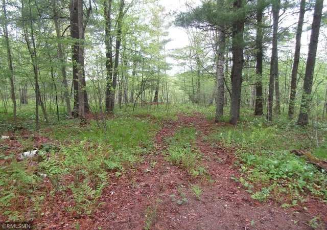 Photo 3 of Land for sale at 15442 Lofty Pines Rd, Pine City, MN 55063 | MLS# 7074236 | Listing updated on 2026-07-16