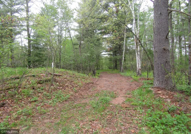 Photo 4 of Land for sale at 15442 Lofty Pines Rd, Pine City, MN 55063 | MLS# 7074236 | Listing updated on 2026-07-16