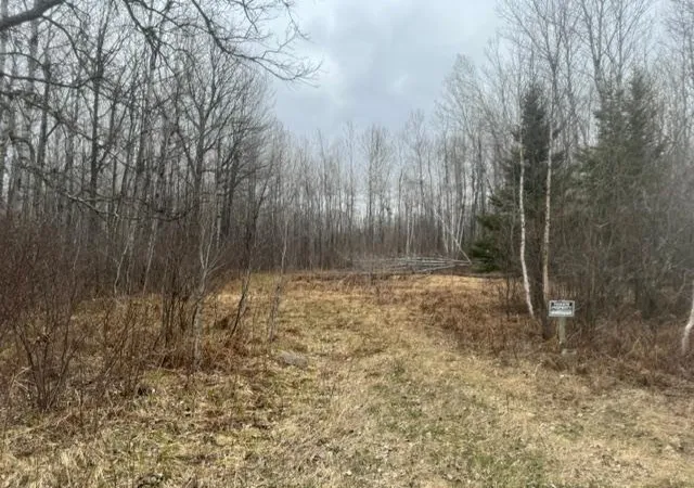 1st image of Xxx Frazer Road, Deer River, MN 56631 | MLS# 7074312