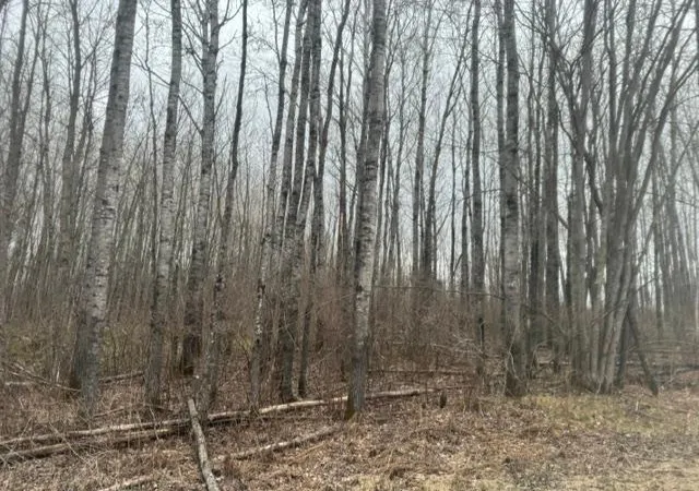 2nd image of Xxx Frazer Road, Deer River, MN 56631 | MLS# 7074312