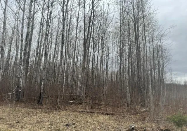 3rd image of Xxx Frazer Road, Deer River, MN 56631 | MLS# 7074312