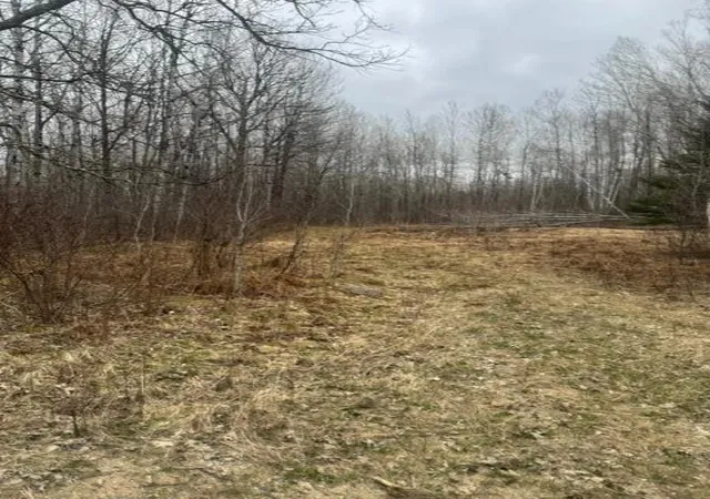 5th image of Xxx Frazer Road, Deer River, MN 56631 | MLS# 7074312