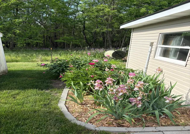 56th image of 22453 State Hwy 16, Wykoff, MN 55990 | MLS# 7074325