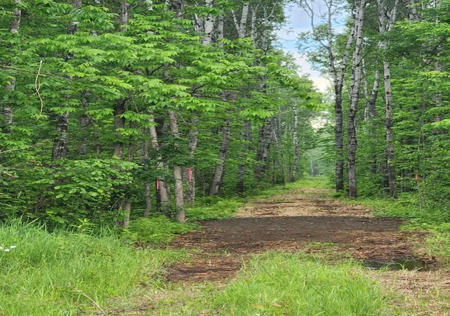 17th image of Xxx Tbd, Holyoke, MN 55707 | MLS# 7074386