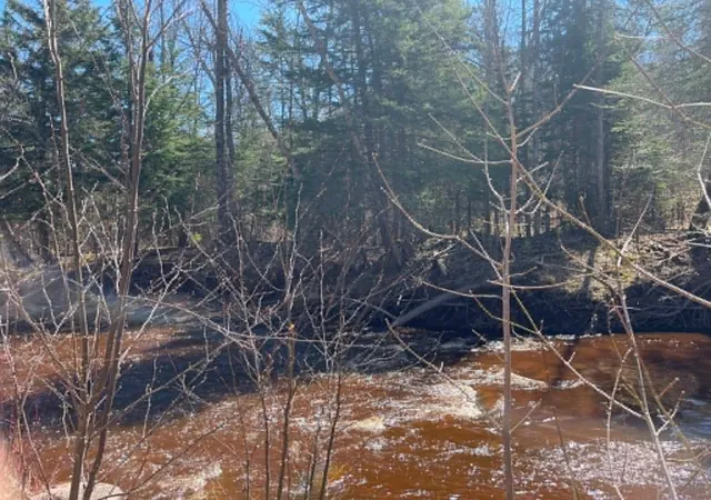 4th image of Xxx Tbd, Holyoke, MN 55707 | MLS# 7074386