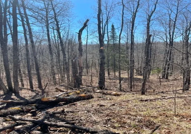 5th image of Xxx Tbd, Holyoke, MN 55707 | MLS# 7074386