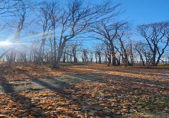 Photo 3 of Sale Pending at Xxxx Diamond Trl Nw, Walker, MN 56484 | MLS# 7074392 | Listing updated on 2026-10-08