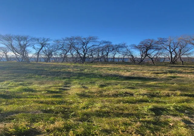 Photo 3 of Land for sale at Tbd Lot 2 County Rd 9 Ne, Spicer, MN 56288 | MLS# 7074610 | Listing updated on 2026-05-21