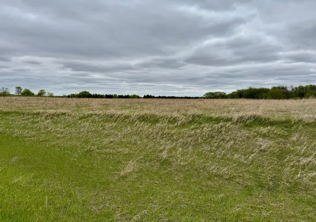 Homes for sale in Parkers Prairie, MN | Tbd County Hwy 138, Parkers Prairie, MN 56361 | MLS# 7074929