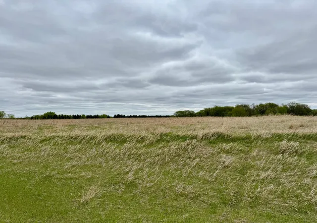 Homes for sale in Parkers Prairie, MN | Tbd County Hwy 138, Parkers Prairie, MN 56361 | MLS# 7074929
