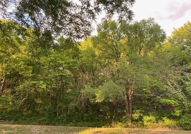 Photo 3 of Land for sale at 18 Bates Ave, Saint Paul, MN 55106 | MLS# 7074949 | Listing updated on 2026-05-27